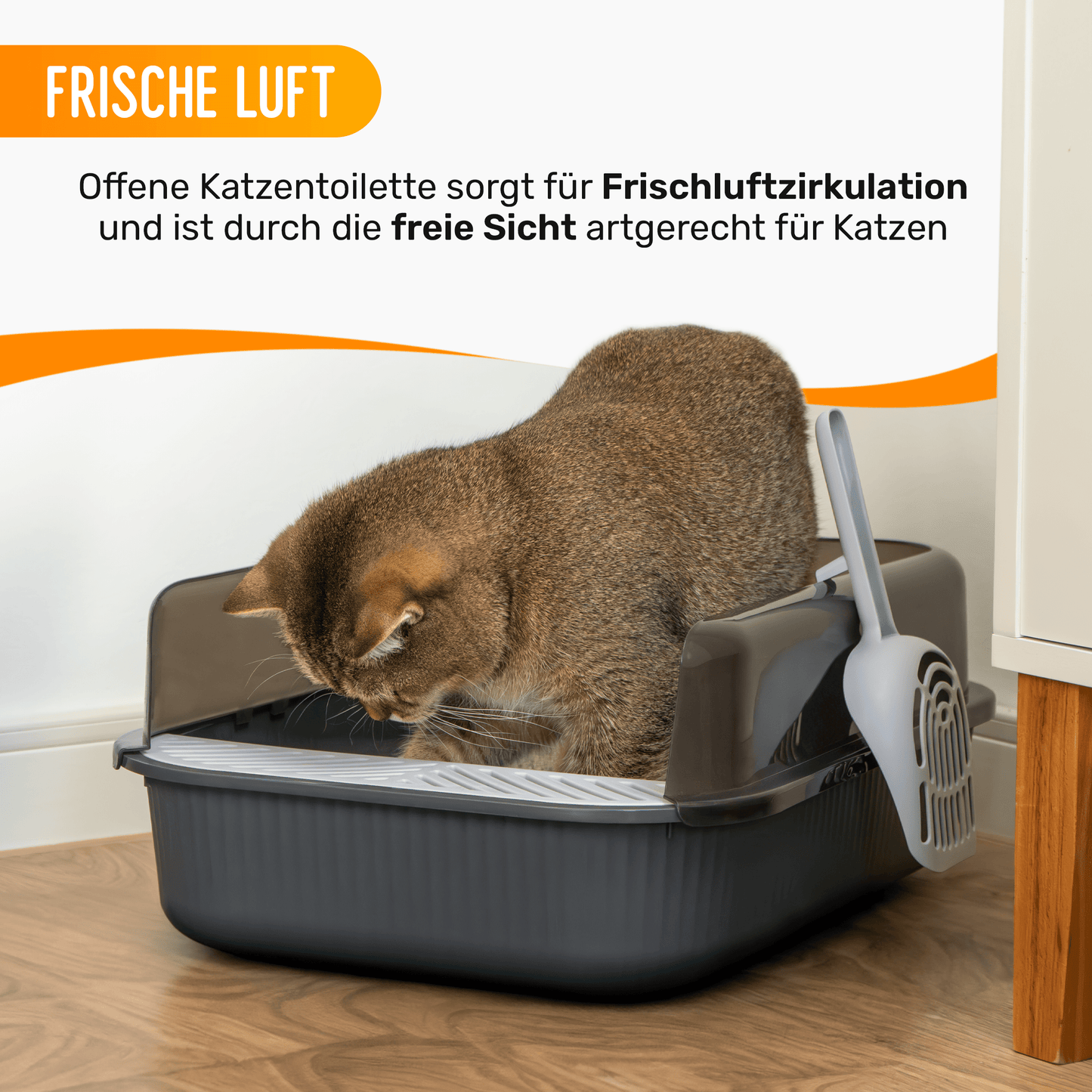 OFFENES KATZENKLO