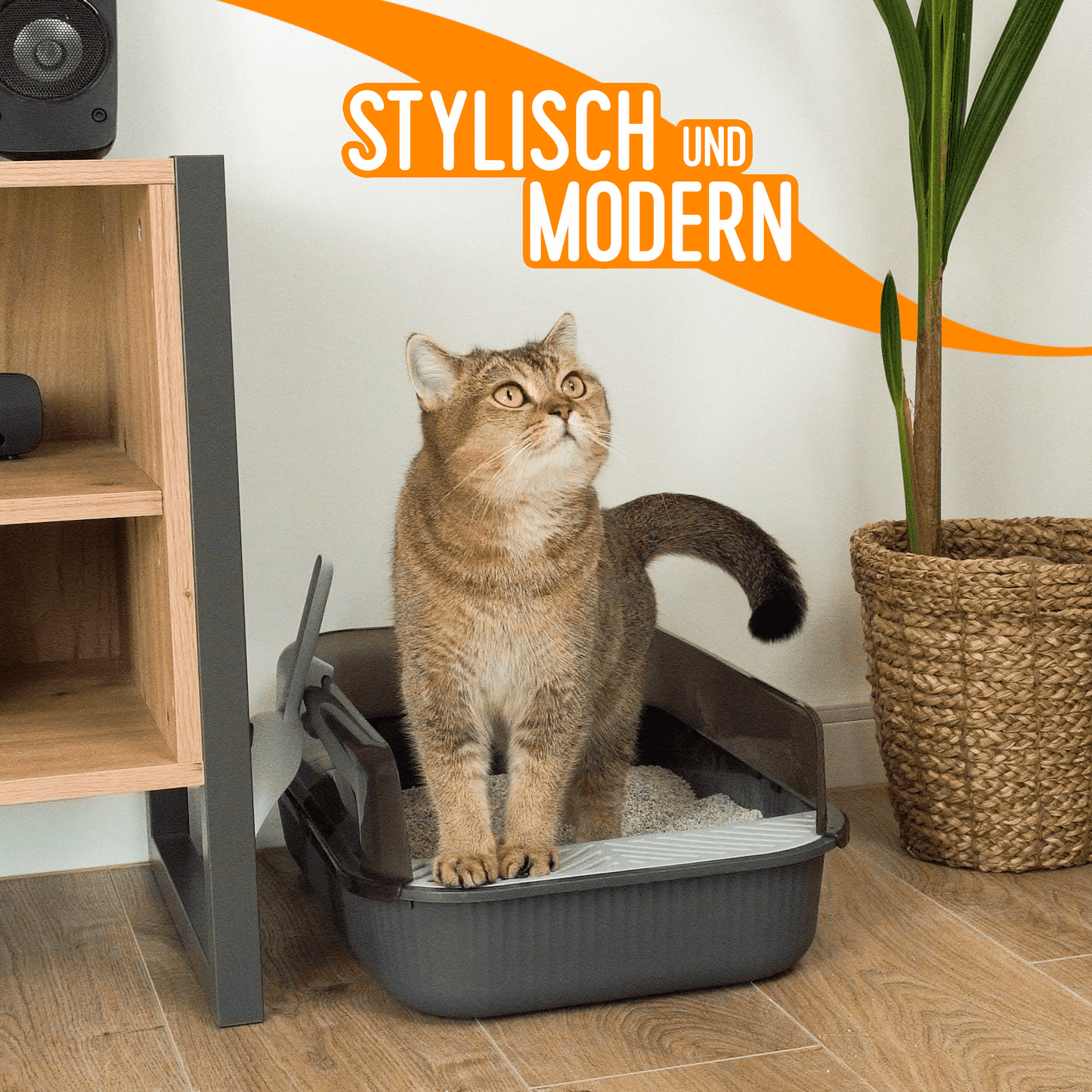 OFFENES KATZENKLO