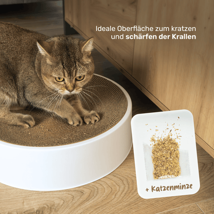 KRATZPAPPE